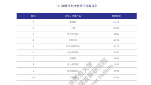 互聯(lián)網(wǎng)旅游企業(yè)履責(zé)表現(xiàn)如何 北師大這份報(bào)告排出名次