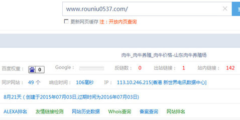 怎么樣讓網站收錄速度快一點? - 搜索引擎優化(SEO) - 